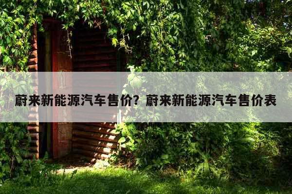 【中安能源与蔚来能源推进储充换体系】